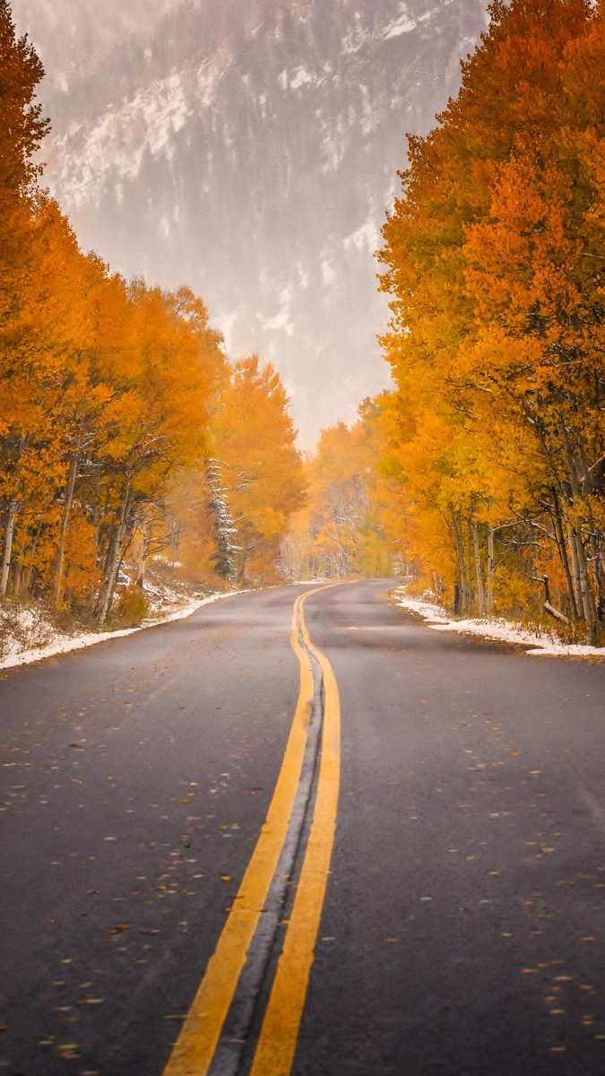 road highway autumn trees foliage forest mountain iPhone Wallpaper iphoneswallpapers com
