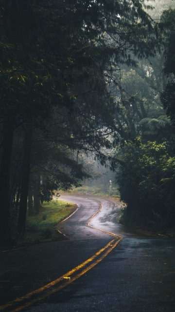 Nature Road Green Forest Trees iPhone Wallpaper