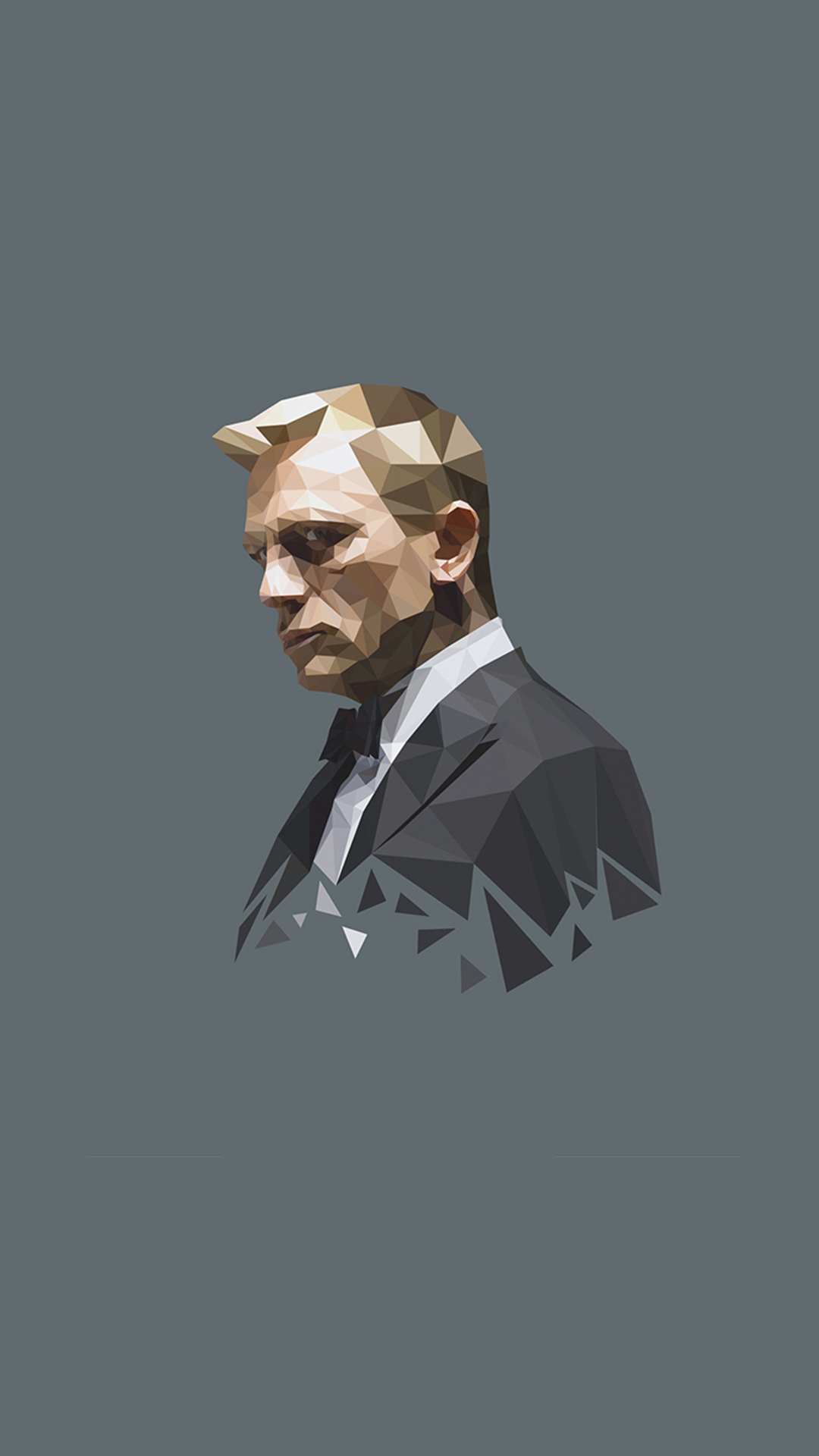 James Bond Daniel Craig IPhone Wallpaper - IPhone Wallpapers : iPhone  Wallpapers