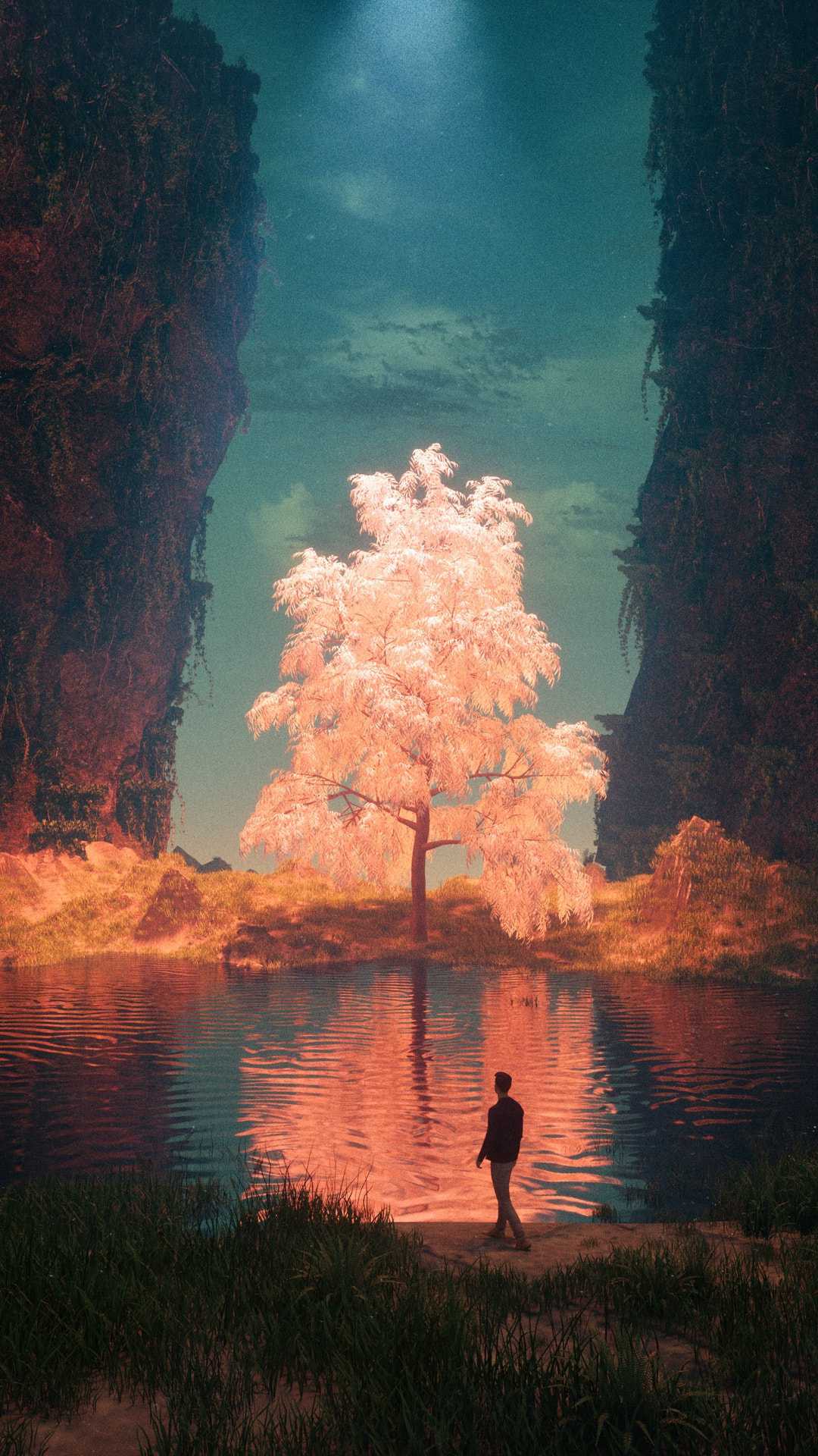 Magical Tree iPhone Wallpaper