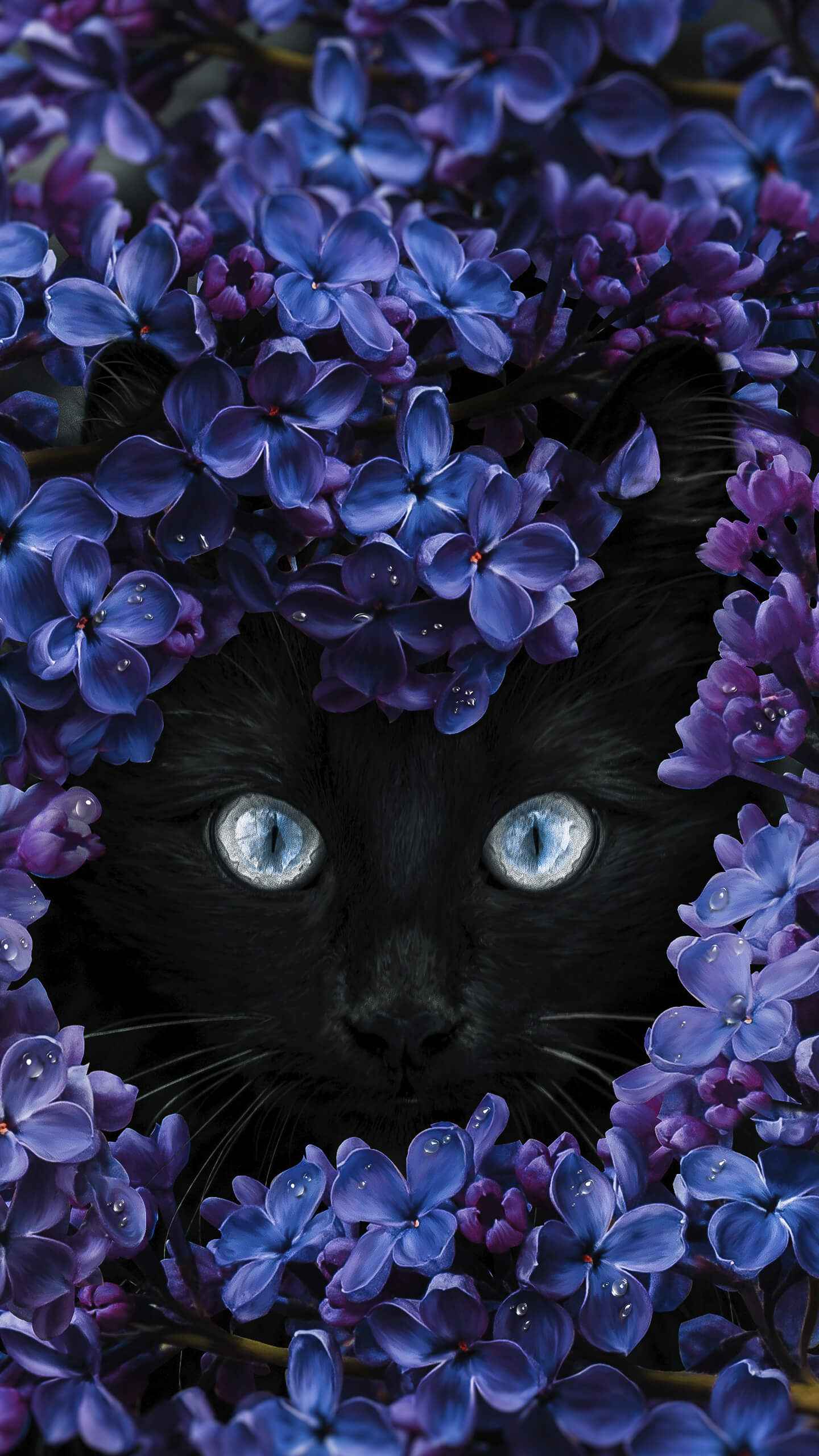 Black cat wallpaper by pfyre  Download on ZEDGE  60cd