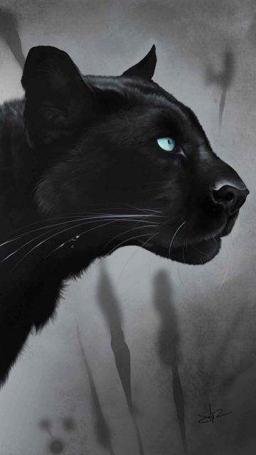 Black Jaguar iPhone Wallpaper