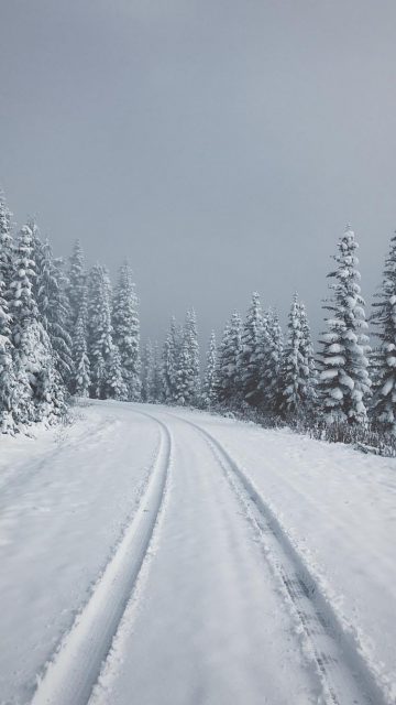 Winter Alaska iPhone Wallpaper