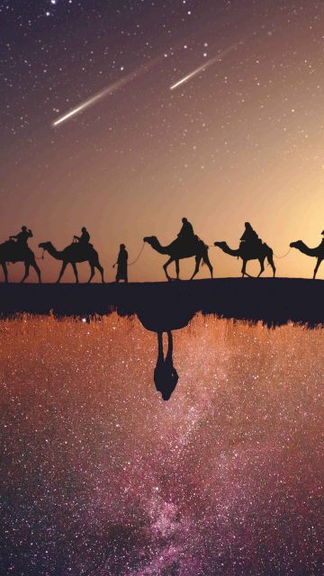 Camel Night Lake Reflection iPhone Wallpaper