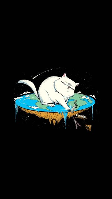 Flat earth cat iPhone Wallpaper