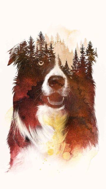Forest Dog iPhone Wallpaper