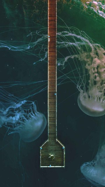 Giant Jellyfish pier iPhone Wallpaper