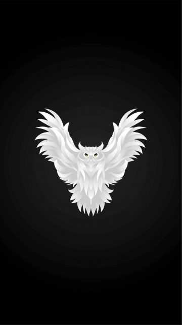 White Owl iPhone Wallpaper