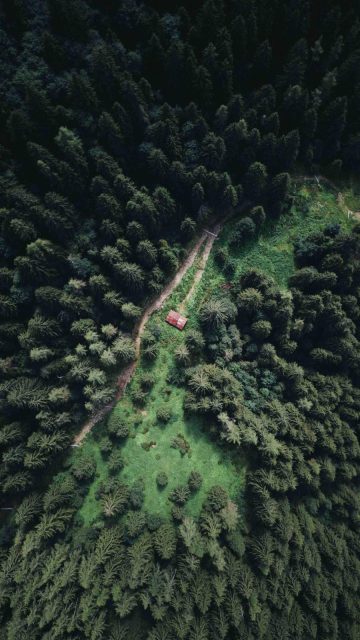 Cabin In the Woods Aerial View iPhone Wallpaper