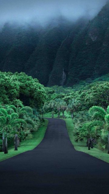 Hawaii Nature iPhone Wallpaper