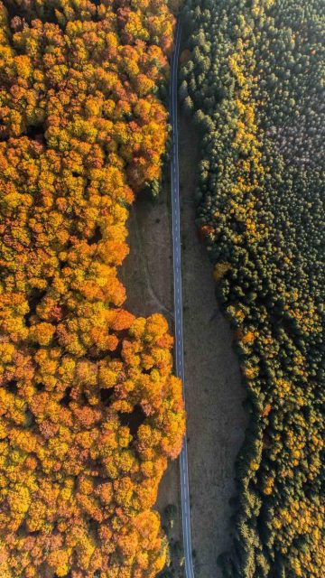 Canadian Road Autumn Aerial View iPhone Wallpaper