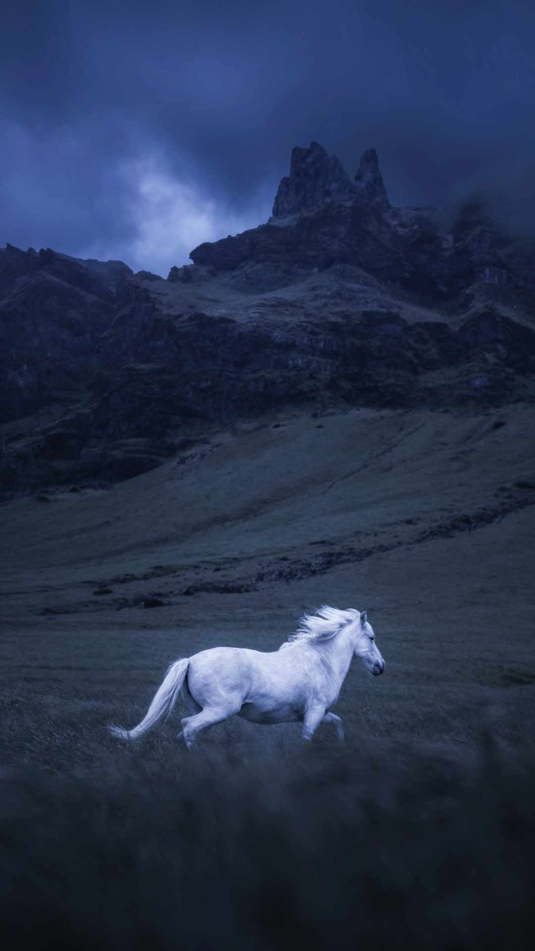 Icelandic Horse iPhone Wallpaper