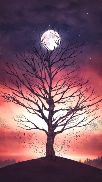 Moon Tree iPhone Wallpaper