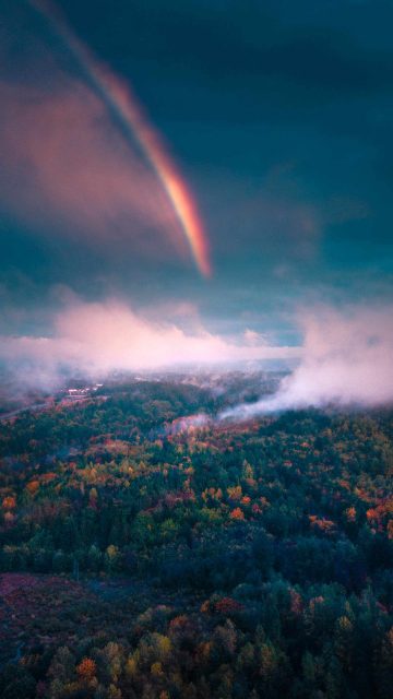Nature Rainbow Forest Morning Mist iPhone Wallpaper