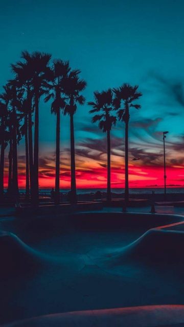 Sunset Paradise iPhone Wallpaper