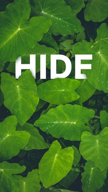 Hide in Nature iPhone Wallpaper