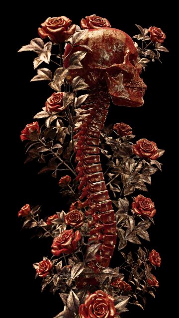 Skeleton Roses iPhone Wallpaper
