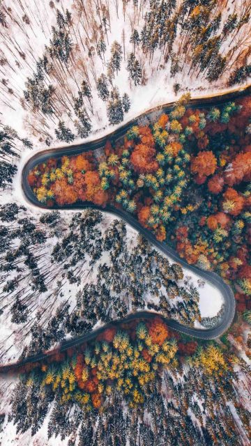 Two Seasons of Nature iPhone Wallpaper