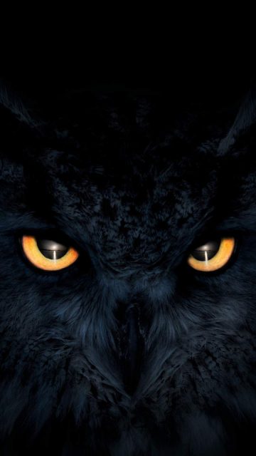 Owl Dark Glowing Eyes iPhone Wallpaper