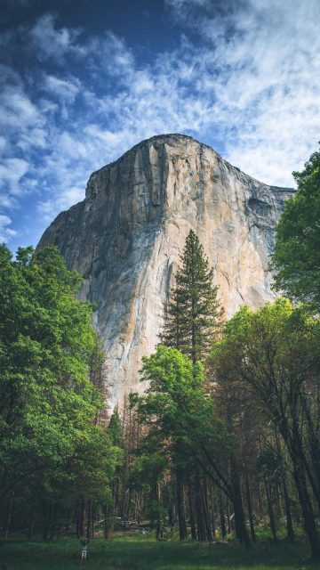 Yosemite iPhone Wallpaper