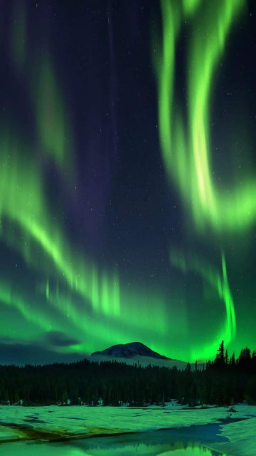 Aurora Borealis Snow Night iPhone Wallpaper