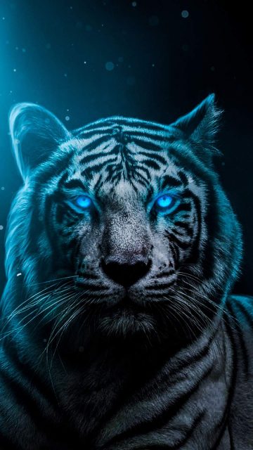 Blue Eyes Lion iPhone Wallpaper