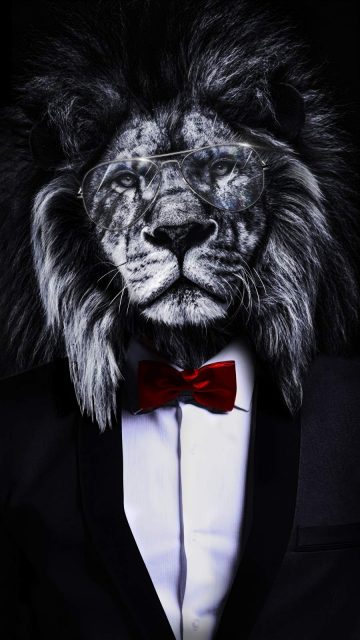 The Corporate Lion iPhone Wallpaper