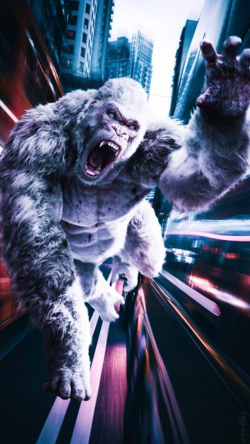 Gorilla Chase iPhone Wallpaper