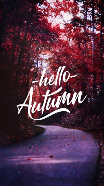 Hello Autumn iPhone Wallpaper