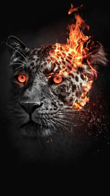 Leopard Art iPhone Wallpaper