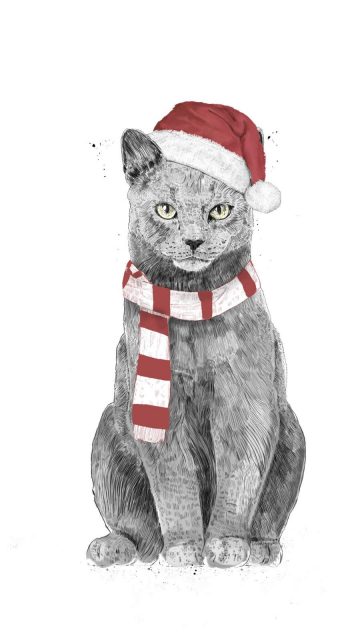 Christmas Cat iPhone Wallpaper