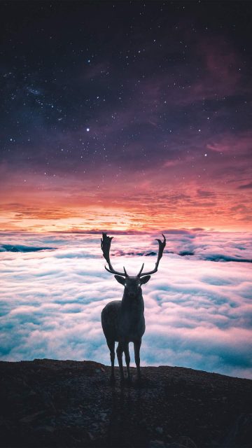 Deer World iPhone Wallpaper
