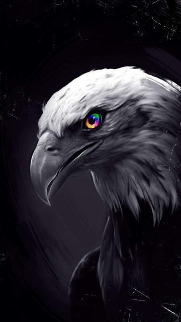 Eagle Eyes iPhone Wallpaper