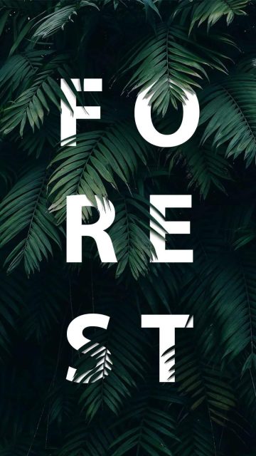 Forest iPhone Wallpaper