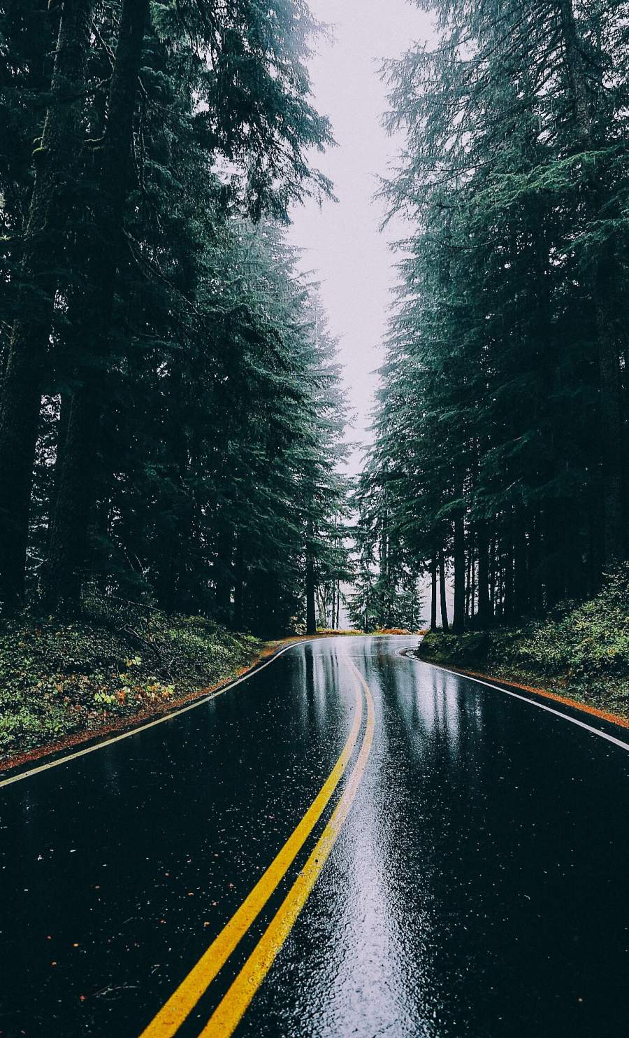 Rain Road iPhone Wallpaper - iPhone Wallpapers : iPhone Wallpapers