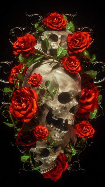Rose Skull iPhone Wallpaper