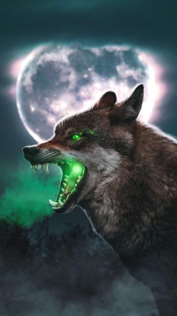 The Wolf iPhone Wallpaper