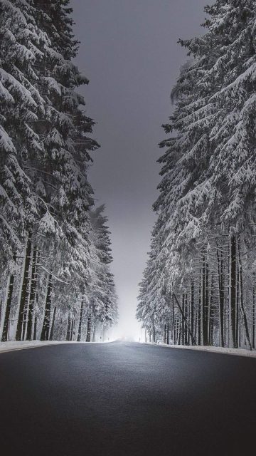 Winter Road Asphalt Snow iPhone Wallpaper