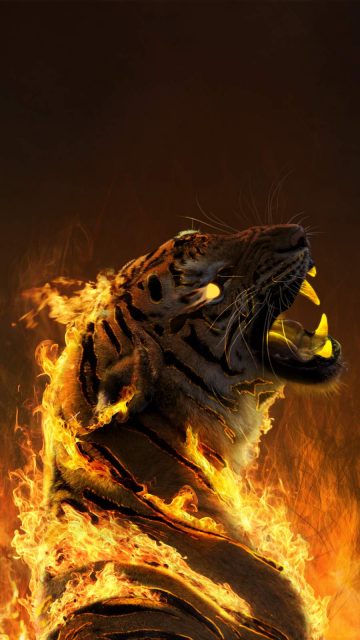 Burning Tiger iPhone Wallpaper