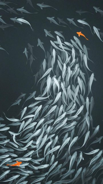 Fish Tank iPhone Wallpaper