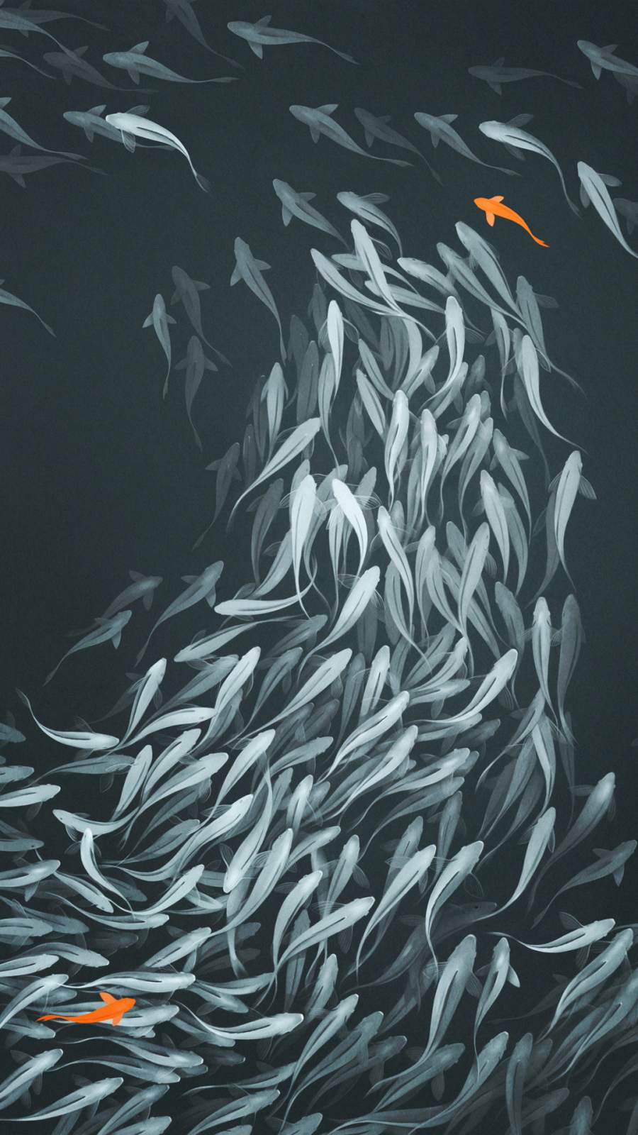 fish tank wallpaper for iphone