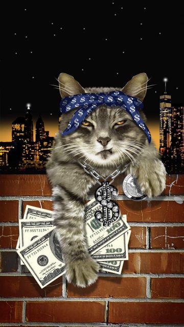 Gangsta Cat iPhone Wallpaper