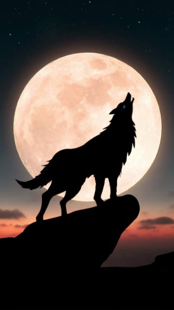 Moon Wolf iPhone Wallpaper