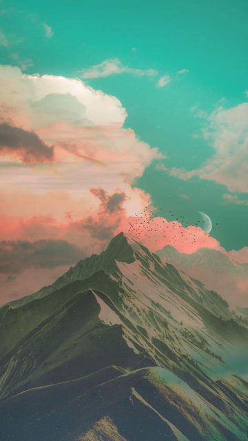 Nature Aesthetic iPhone Wallpaper