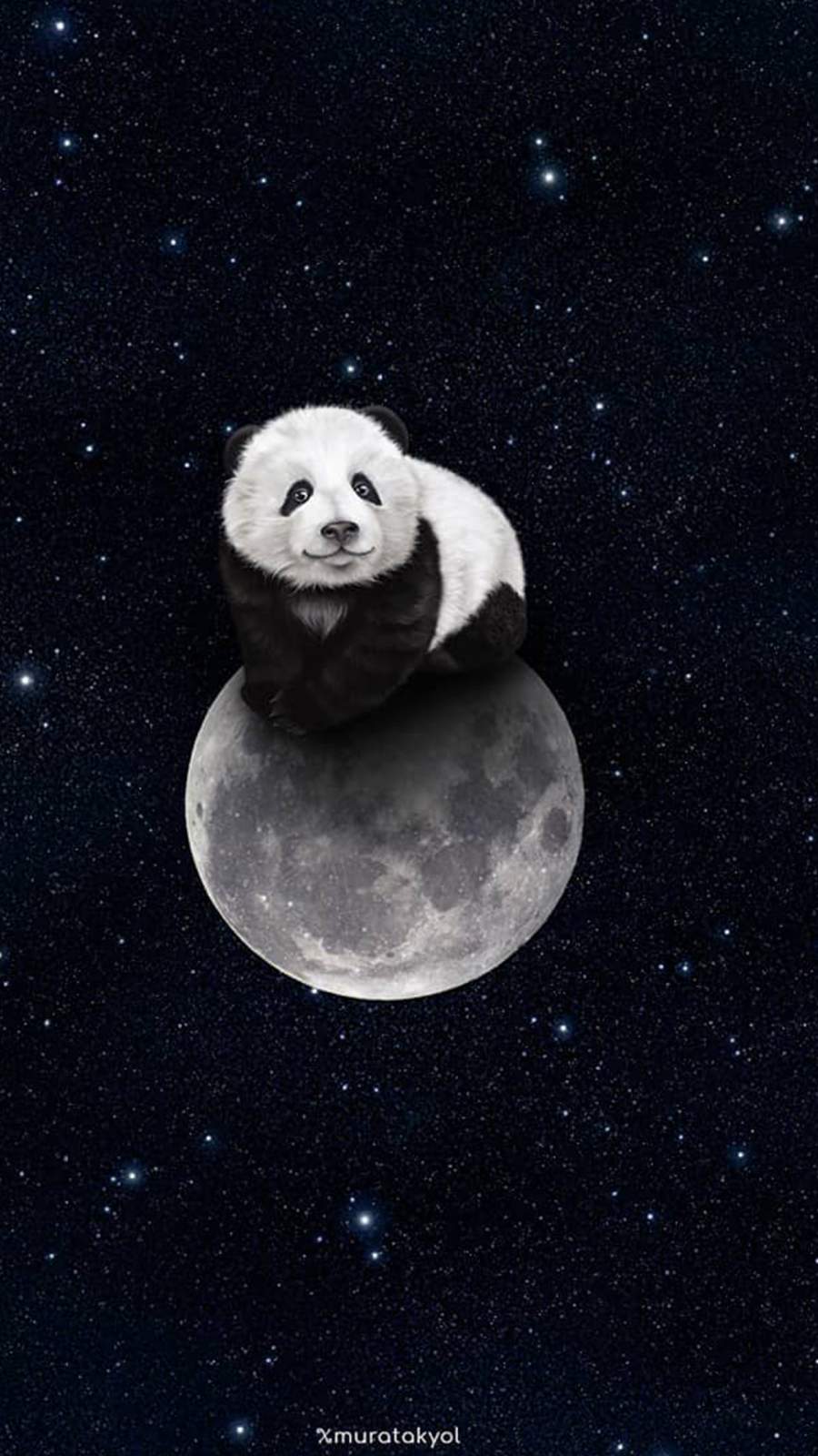 Panda Moon iPhone Wallpaper