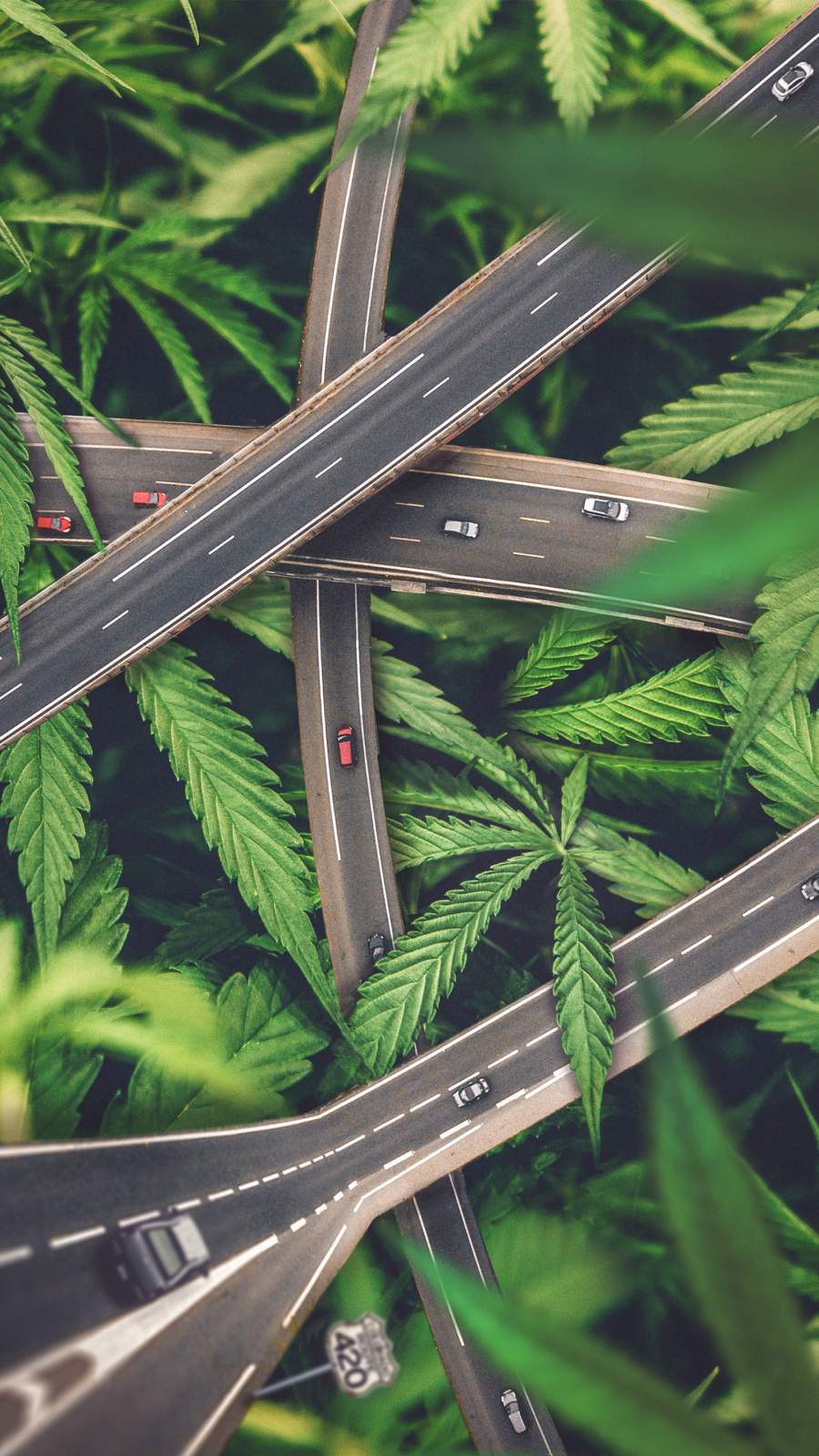 Weed Route iPhone Wallpaper