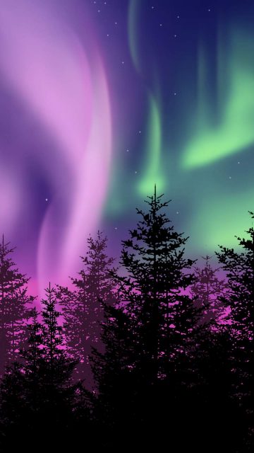 Winter Northern Lights iPhone Wallpaper