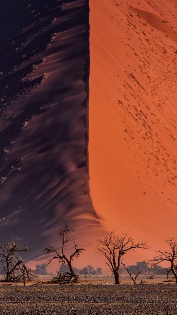 Desert iPhone Wallpaper