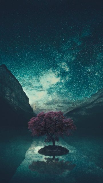 Tree and Stars iPhone Wallpaper