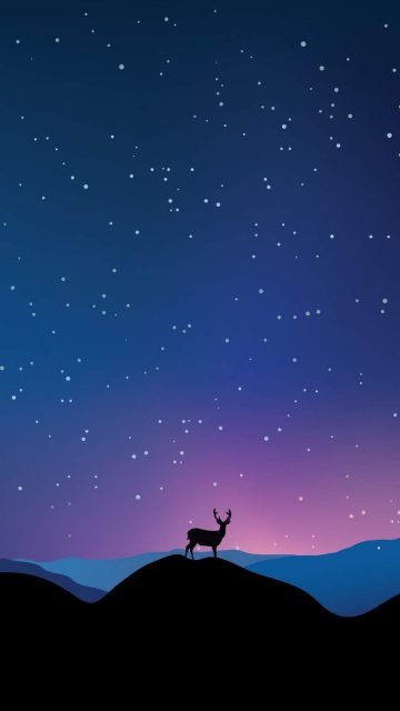 Under the Stars iPhone Wallpaper